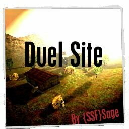 More information about "duel_site"